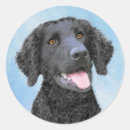 Search for curly stickers Portrait