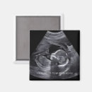 Search for sonogram magnets New baby