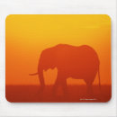 Search for kenya mousepads Nature