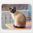 Search for siamese cat mousepads Blue eyes