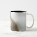 Search for interest mugs Animal