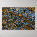 Search for dinosaur bones posters Black