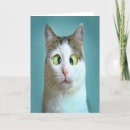 Search for cat hanukkah cards Cute