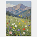 Search for alpine meadow magnets Landscape