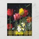 Search for missing you mom postcards Fun