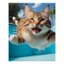 Search for cat swimming posters Pet