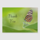 Search for tiger thank you cards Butterfly