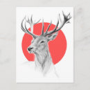 Search for red deer postcards Wildlife