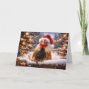 Search for funny chicken christmas cards Farm