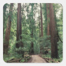 Search for marin county stickers Forest