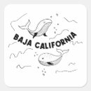 Search for baja stickers Mexico
