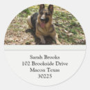 Search for german shepherd designs stickers Animal
