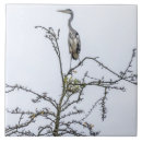 Search for heron tiles Home