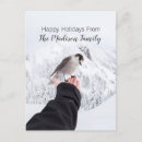 Search for bird christmas cards Winter
