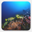 Search for nautical photo stickers Ocean