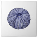 Search for blue sea shell tiles Marine