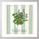 Search for herb posters Thyme