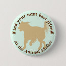 Search for pound badges Shelter