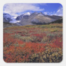 Search for banff alberta stickers Nature