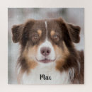 Search for australian shepherd puzzles Animal