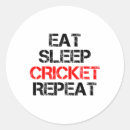 Search for cricket bat and ball stickers One day cricket