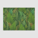 Search for fern tissue paper Forest