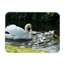 Search for spring bird magnets White