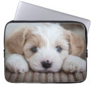 Search for babys electronics Puppy