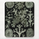 Search for fungus mousepads Forest