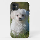 Search for fluffy dog iphone cases Animal