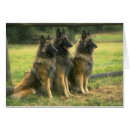 Search for pure breed Dog lover