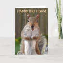 Search for funny squirrel pictures cards Silly