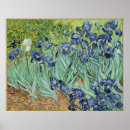Search for vintage irises posters Floral