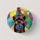 Search for yorkies badges Yorkie poo
