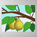 Search for pear tree poster posters Leaves