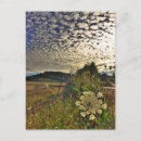 Search for feild Landscape