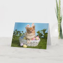 Search for chihuahua easter cards Puppy