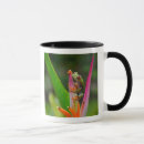 Search for tree frog mugs Flower