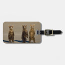 Search for environment luggage tags Wildlife