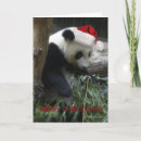 Search for panda christmas cards Bear