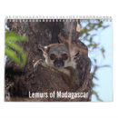 Search for lemur calendars Madagascar