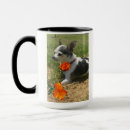 Search for black chihuahua mugs Cute
