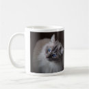 Search for ragdoll mugs Fluffy