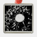 Search for dandelion christmas tree decorations Weed