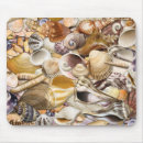 Search for mollusk electronics Ocean