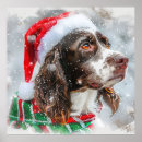 Search for springer spaniel dog posters Pet