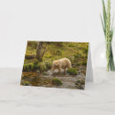 Search for british columbia cards Gordon illg