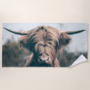 Search for scotland beach towels Highland cow