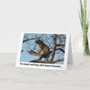 Search for impalas cards Animal