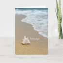 Search for conch shell cards Nature